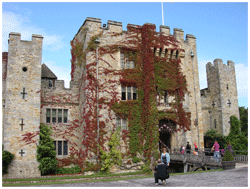 The Royal Oak - Hever Castle
